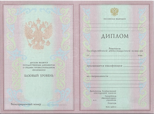 Диплом технолога 2003-2006 года
